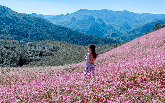 Tham khảo kinh nghiệm du lịch Hà Giang Mùa Thu hữu ích dành cho du khách