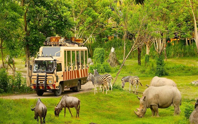 Trọn bộ kinh nghiệm đi Vinpearl Safari cho khách du lịch Phú Quốc 2023