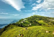 Chiêm ngưỡng toàn cảnh vẻ đẹp núi Rigi khi đi tour du lịch Thuỵ Sĩ