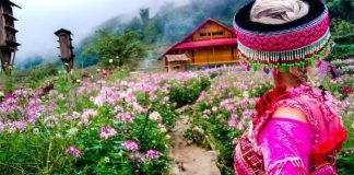 Du lịch Sapa